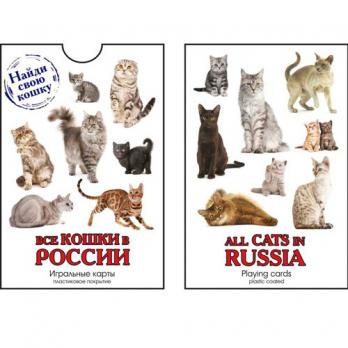 900-07W-CAT3-М Карты Сувенирные Кошки России