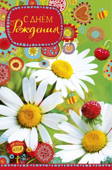 Открытка 0163.953 С Днем Рождения			