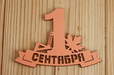 Тп242-04-1515Н Топпер 