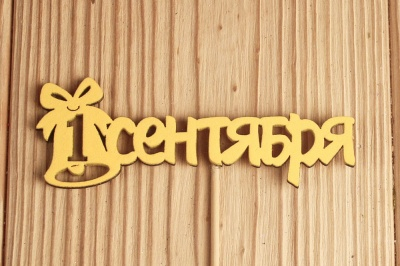 Тп239-04-1616Н Топпер 