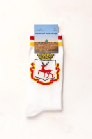Носки сувенирные 100-5202 (размеры 25-27)