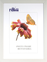 134189 Фоторамка 15x21 / 2009C-012A /уп 10