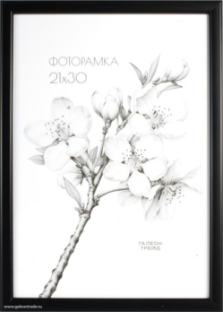 745418 Фоторамка 21x30 /1503-014/